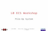 11/01/2006Wilco Vink / Martin van Beuzekom / L. Wiggers L0 ECS Workshop Pile-Up System.