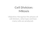 Cell Division: Mitosis Objective: Recognize the phases of cell division, what type and how many cells are produced.
