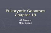 Eukaryotic Genomes Chapter 19 AP Biology Mrs. Ogden.