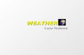 WEATHER Lucie Nožková What is the weather like? In spring In summer In autumn In winter ?