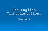 The English Transplantations Chapter 2. Early Chesapeake  Jamestown James Divided the “New World” into two territories James Divided the “New World”