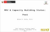 MRV & Capacity Building Status: Perú GFOI Capacity Building Summit Armenia, Colombia, September 17–19, 2014 Brian R. Zutta, Ph.D.