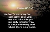 Psalm 63:1-8 1 O God, you are my God, earnestly I seek you; my soul thirsts for you, my body longs for you, in a dry and weary land where there is no water.