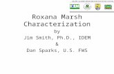 Roxana Marsh Characterization by Jim Smith, Ph.D., IDEM & Dan Sparks, U.S. FWS.