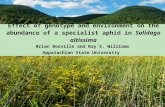 Effect of genotype and environment on the abundance of a specialist aphid in Solidago altissima Brian Bonville and Ray S. Williams Appalachian State University.