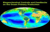Biogeochemical Controls and Feedbacks on the Ocean Primary Production.