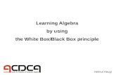 Learning Algebra by using the White Box/Black Box principle Helmut Heugl.