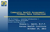 Community Health Assessment: Primary Data Collection LHD TA Project – Learning Collaborative 1 Community Health Assessment Second Learning Session Sheena.