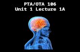 PTA/OTA 106 Unit 1 Lecture 1A. PTA 106 Regional Anatomy and Physiology Regional Anatomy- Focuses on the anatomical organization of specific areas of the.