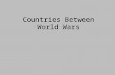 Countries Between World Wars. League of Nations No control of major conflicts. No progress in disarmament. No effective military force.
