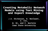 Creating Metabolic Network Models using Text Mining and Expert Knowledge J.A. Dickerson, D. Berleant, Z. Cox, W. Qi, and E. Wurtele Iowa State University.