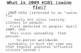 What is 2009 H1N1 (swine flu)? ˙2009 H1N1 (referred to as “swine flu” early on) virus causing: illness in people. ˙ First detected in people: April 2009,