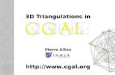 3D Triangulations in  Pierre Alliez.