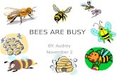 BEES ARE BUSY BY: Audrey November 2. Bees are alive! Bees are born Bees breath air Bees eat Bees grow Bees die.