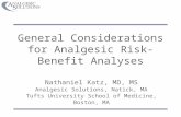 General Considerations for Analgesic Risk-Benefit Analyses Nathaniel Katz, MD, MS Analgesic Solutions, Natick, MA Tufts University School of Medicine,