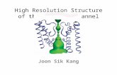 High Resolution Structure of the Open NaK Channel Joon Sik Kang.