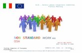 THEMATIC DAY, Rome: 13 - November - 2014 NON STANDARD WORK AND OSH SLIC - Senior Labour Inspectors Committee Plenary Meeting HEALTH AND SAFETY WHAT YOU.