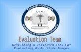Developing a Validated Tool For Evaluating Whole Slide Images.