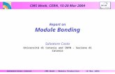 CMS Week, CERN, 15-20 Mar 2004 18 Mar 2004CMS Week - Module ProductionSalvatore Costa - Catania Report on Module Bonding Salvatore Costa Università di.