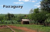 Paraguay. Summer: October-March January-average temp 95⁰ Winter: April-September July-average temp 70⁰ Rainfall: Paraneña region-60" per year Chaco.