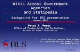 Www.bls.gov Wikis Across Government Agencies and Statipedia Peter B. Meyer Office of Productivity and Technology, Bureau of Labor Statistics Background.