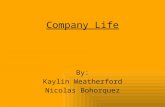 Company Life By: Kaylin Weatherford Nicolas Bohorquez.