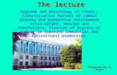 Prepared by O. Sopel The lecture Hygiene and physiology of labour. Classification factors of labour process and production environment after weight, tension.