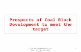 File No.22/Prospects of Dev. of Captive Coal Blocks 1 Prospects of Coal Block Development to meet the target.