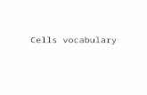 Cells vocabulary. Animal Cell Animal Cell: Basic unit of animal cells. Has no cell wall, small vacuoles, and no chloroplasts.