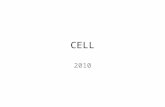CELL 2010. What is a cell? “ Life is a dynamic equilibrium of hundreds and thousands and millions of chemical and biochemical reactions going on between.