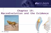 AP Biology 2006-2007 Chapter 19: MacroEvolution and the Evidence.