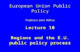 European Union Public Policy Professor John Wilton Lecture 10 Regions and the E.U. public policy process.