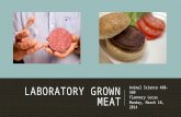 LABORATORY GROWN MEAT Animal Science 460-560 Flannery Lucas Monday, March 10, 2014.