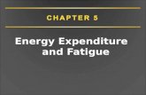 Energy Expenditure and Fatigue. CHAPTER 5 Overview Measuring energy expenditure Energy expenditure at rest and during exercise Fatigue and its causes.