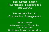 The Great Lakes Fisheries Leadership Institute Introduction to Fisheries Management Daniel Hayes Department of Fisheries and Wildlife Michigan State University.
