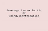 Seronegative Arthritis Or Spondyloartropaties. Introduction Spondyloarthritis or Seronegative Spondyloarthritis – Refers to inflammatory changes involving.