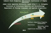 Fe deral State Budgetary Educational Institution of Higher Education «Omsk State Agrarian University named after P. A. Stolypin» Institute of Veterinary.