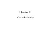 Chapter 11 Carbohydrates. Carbohydrates are aldehydes or ketone with multiple hydroxyl groups.