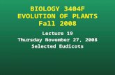 BIOLOGY 3404F EVOLUTION OF PLANTS Fall 2008 Lecture 19 Thursday November 27, 2008 Selected Eudicots.