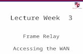 Lecture Week 3 Frame Relay Accessing the WAN. 3.1 Basic Frame Relay Concepts Accessing the WAN.