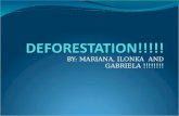 BY: MARIANA, ILONKA AND GABRIELA !!!!!!!!. What is deforestation? …... Deforestation happens in different ways. Those ways are: natural effects, dry branches,