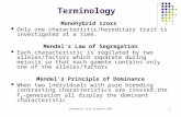 Telematics Life Sciences 20121 Terminology Monohybrid cross Only one characteristic/hereditary trait is investigated at a time. Mendel’s Law of Segregation.