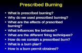 Prescribed Burning What is prescribed burning? Why do we used prescribed burning? What are the effects of prescribed burning? What influences fire behavior?