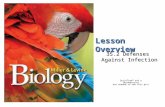 Lesson Overview Lesson Overview Defenses Against Infection Lesson Overview 35.2 Defenses Against Infection.