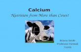 Calcium Nutrition from More than Cows! Briana Smith Professor Kimball 71243.