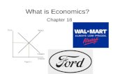 What is Economics? Chapter 18. The Fundamental Economic Problem Section 1.