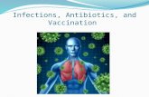 Infections, Antibiotics, and Vaccination. How to reduce the chances of being infected Avoid crowded areas especially if you have a compromised immune.