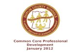 Common Core Professional Development January 2012.