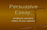 Persuasive Essay: writing to convince others of your opinion.