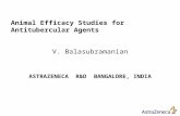 Animal Efficacy Studies for Antitubercular Agents V. Balasubramanian ASTRAZENECA R&D BANGALORE, INDIA.